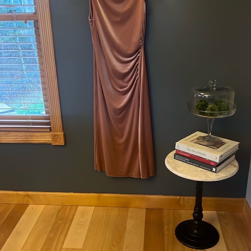 Great blush velvet dress!  NWT